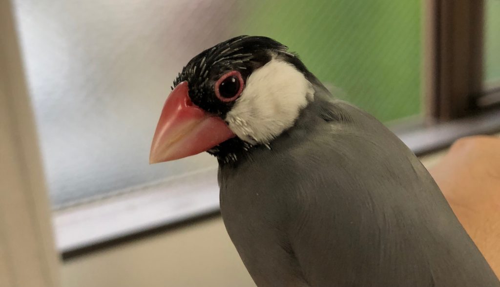 57イライラ 頭 かゆい 処理