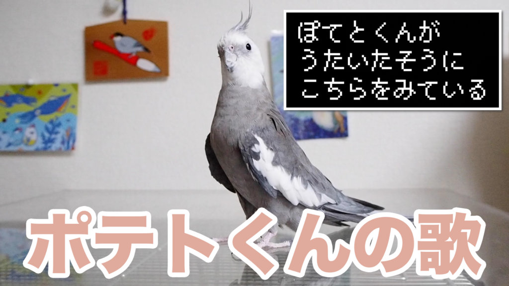 ぽ て と く ん の う た を き い て あ げ ま す か ？ はい いいえ 鳥くさいどっとこむ