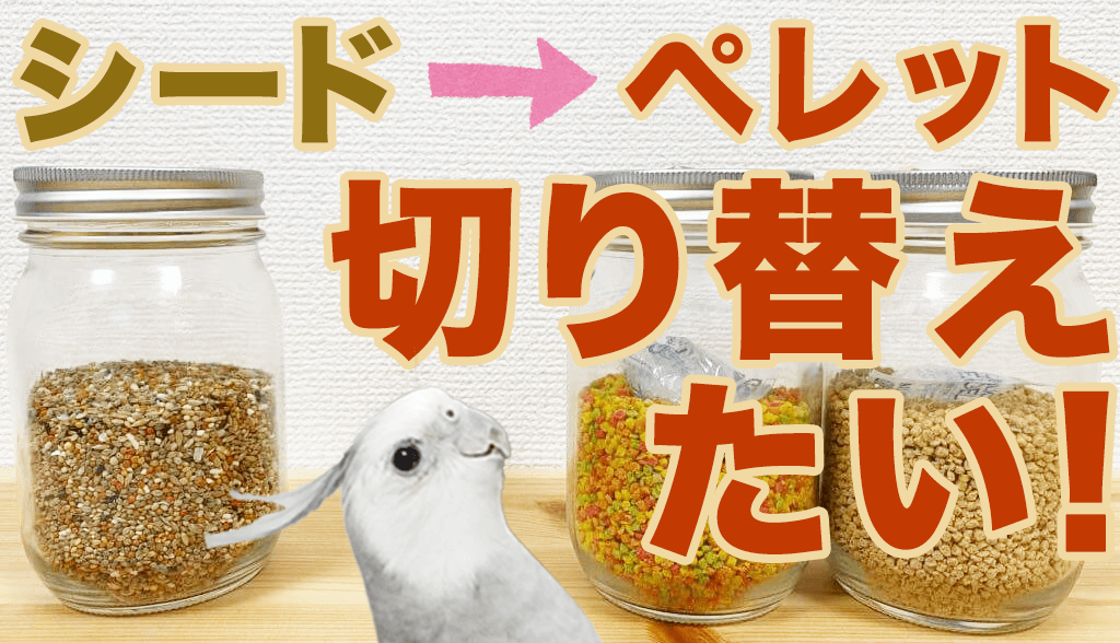 シードからペレットへの切り替え【インコ・オウム・鳥の餌】 | 鳥