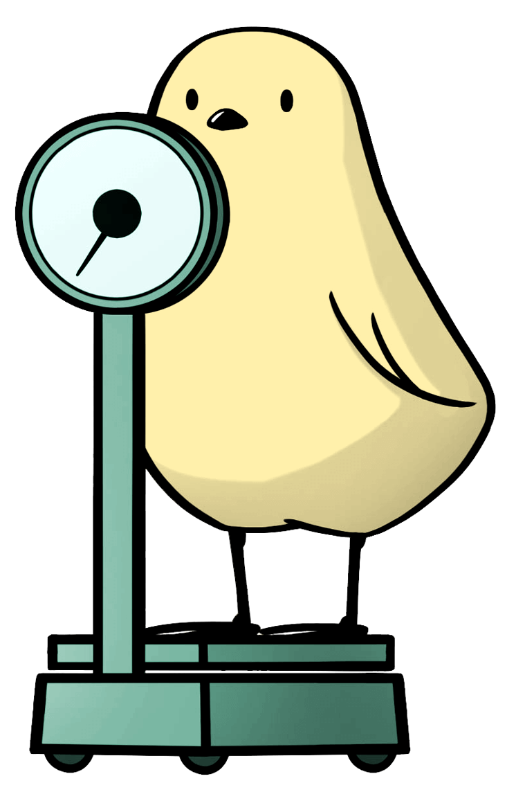 インコなど鳥の体重管理 平均体重 はかり方 記録の付け方 鳥くさいどっとこむ