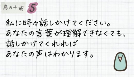 私に時々話しかけてください。あなたの言葉が理解できなくても、話しかけてくれればあなたの声はわかります。