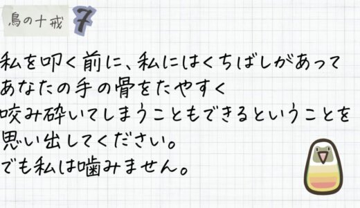 私を叩く前に、私にはくちばしがあってあなたの手の骨をたやすく咬み砕いてしまうこともできるということを思い出してください。でも私は噛みません。