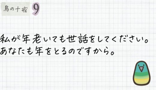 私が年老いても世話をしてください。あなたも年をとるのですから。