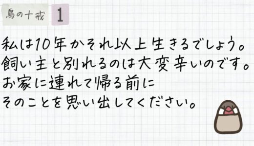 私は10年かそれ以上生きるでしょう。飼い主と別れるのは大変辛いのです。お家に連れて帰る前にそのことを思い出してください。