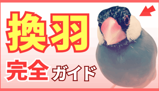 下のソーシャルリンクからフォロー